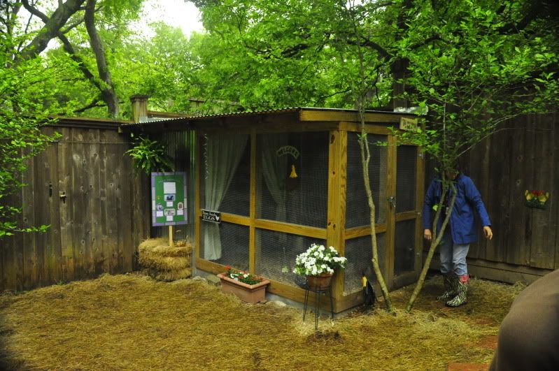 Dallas Chicken Coop Tour